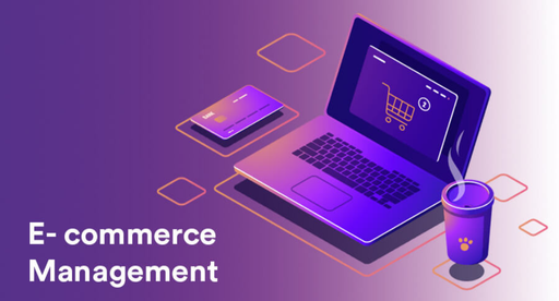 Management of Ecommerce